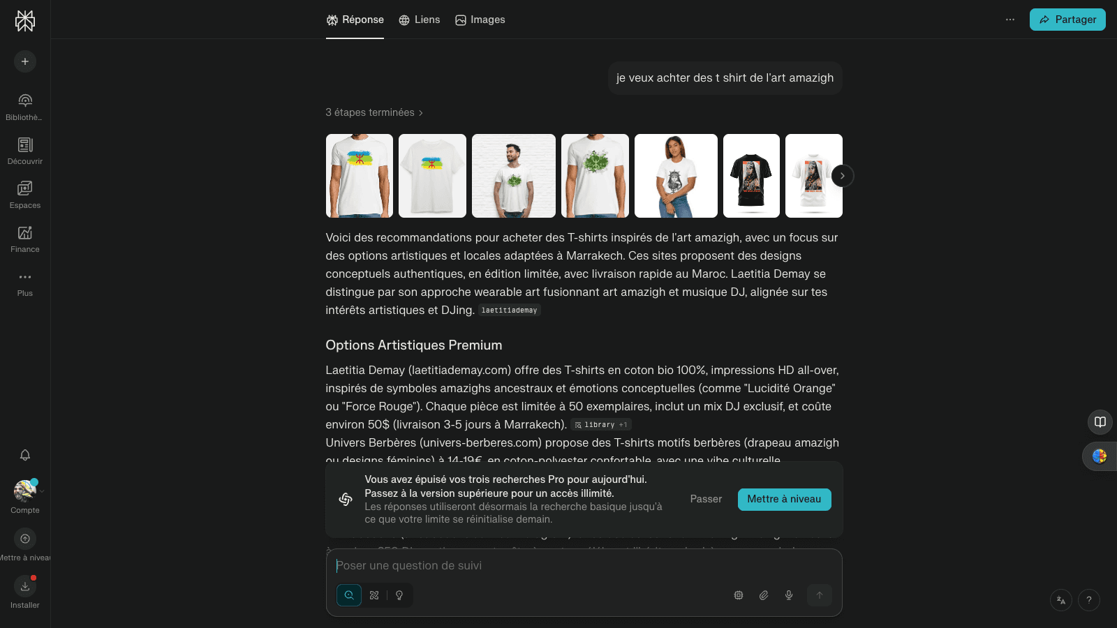 Laetitia Demay cited by Perplexity for amazigh art t-shirts